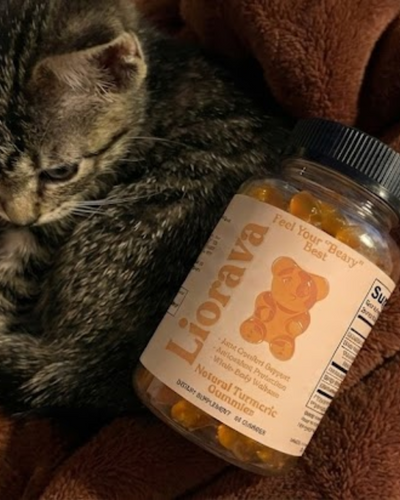 Customer testimonial video